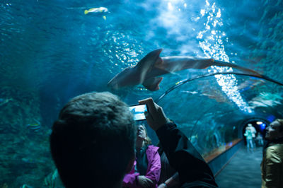 Close-up of boy photographing at aquarium
