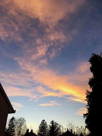 Low angle view of silhouette trees against sky