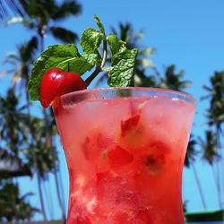 Close-up of red drink against trees