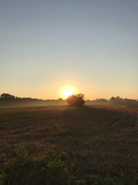 Scenic view of field against clear sky during sunset