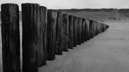 Wooden posts on rocks