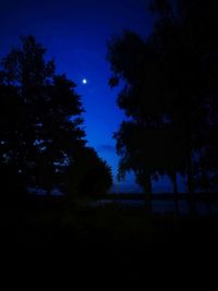 Low angle view of silhouette trees against sky at night