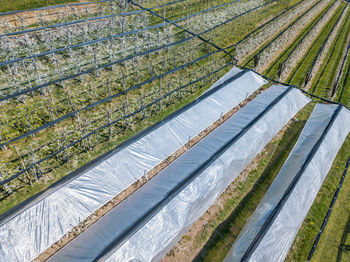 High angle view of greenhouse on field