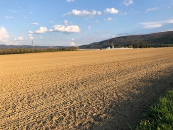 Scenic view of agricultural field against sky