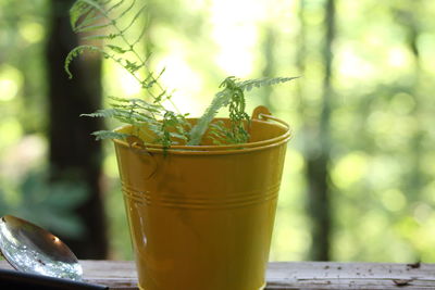 Close-up of drink on table