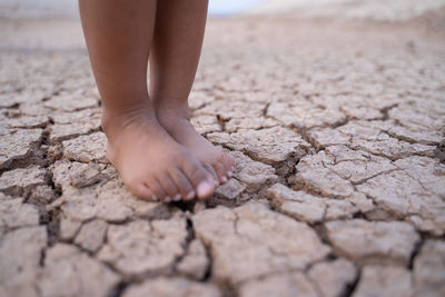 Low section of child legs on land