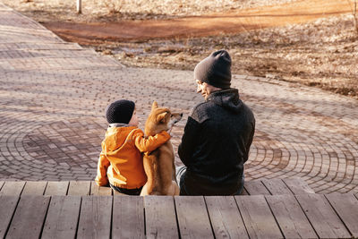 Rear view of dog sitting on footpath