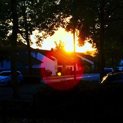 Houses by trees against sky during sunset