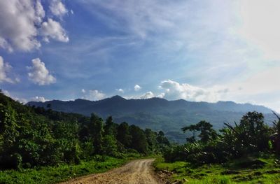 Dirt road passing through forest