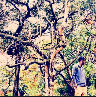 FULL LENGTH OF YOUNG MAN LOOKING AT TREE