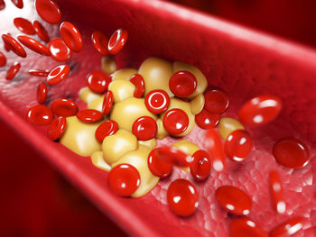 Close-up of tomatoes in bowl