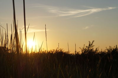 Silhouette landscape against sky during sunset