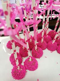 Close-up of pink flowers