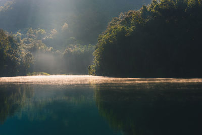 Reflection of trees in lake against sky