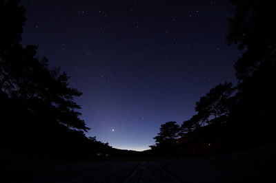 Low angle view of silhouette trees against sky at night