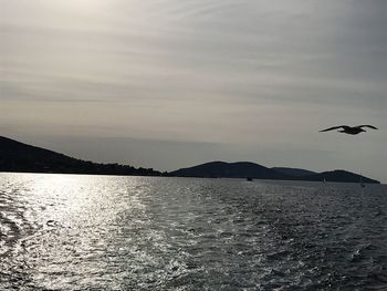 Birds flying over sea against sky during sunset