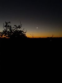 Scenic view of silhouette field against sky at night