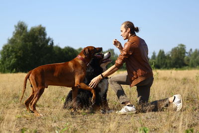 Side view of man training dogs on land against clear sky