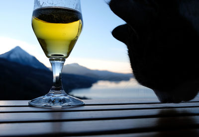 Close-up of beer in glass on table