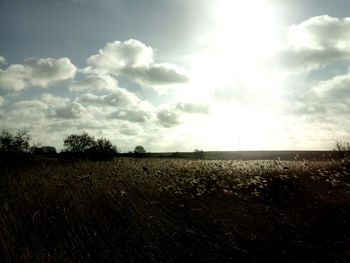 Scenic view of field against cloudy sky