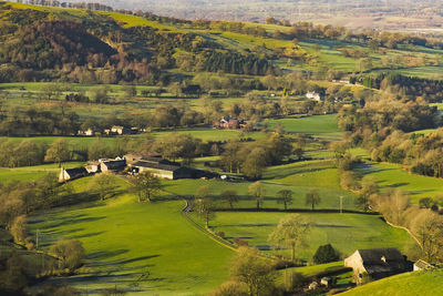 Scenic view of agricultural field