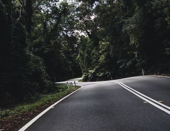 Empty road amidst trees in forest