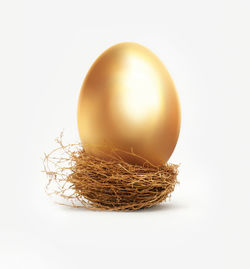 Close-up of eggs in nest against white background