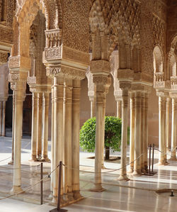 architecture
