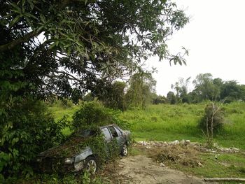 Abandoned car on field