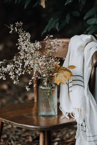 Close-up of white flowering plants
