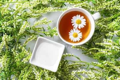 High angle view of tea on white flowering plant