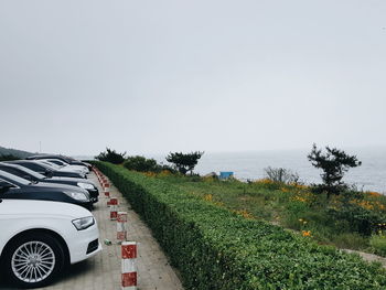 Row of cars in parking lot against clear sky