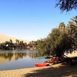 Boats moored in water against clear sky