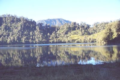 Reflection of trees in lake against sky