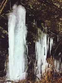 Scenic view of waterfall