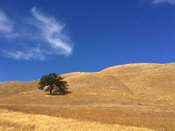 Scenic view of landscape against blue sky