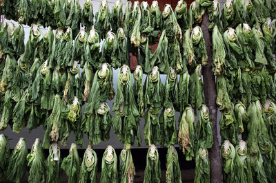 Close-up of fresh vegetables for sale