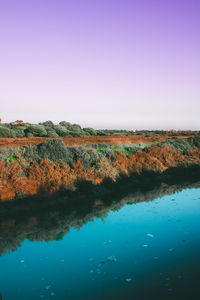 Scenic view of lake against clear blue sky