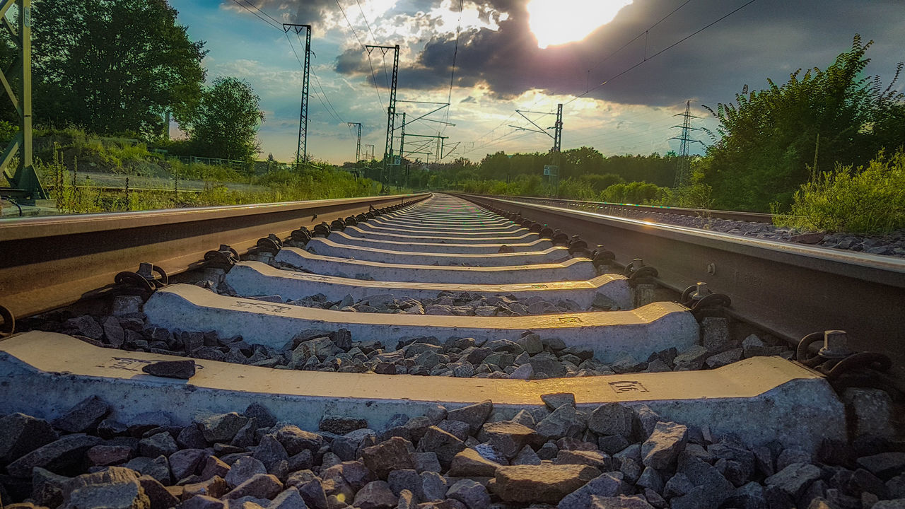 SURFACE LEVEL OF RAILROAD TRACKS AGAINST TREES