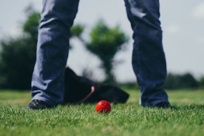 Man standing on grassy field