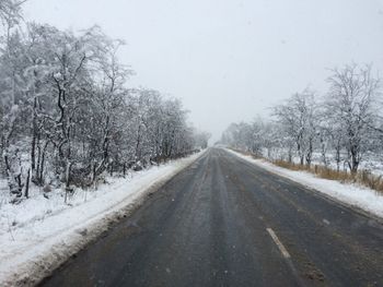 Empty road along trees