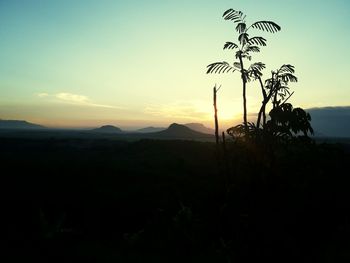 Silhouette tree on landscape against sky at sunset