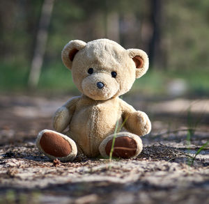 Close-up of stuffed toy on field