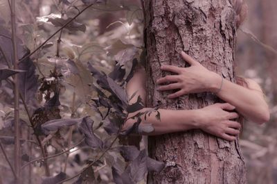 Low angle view of touching tree trunk