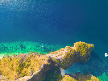 View of coral in sea