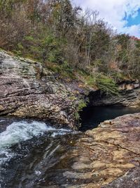 View of river flowing through forest