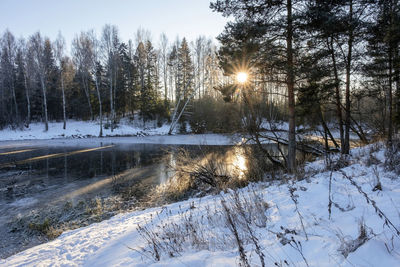 Rays of the low winter sun on the mirror ice of a small backwater, russia.