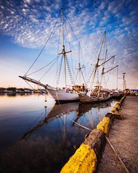 Sailboats moored in harbor