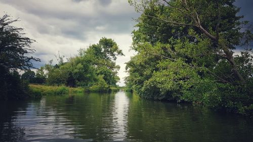 Scenic view of lake in forest against sky