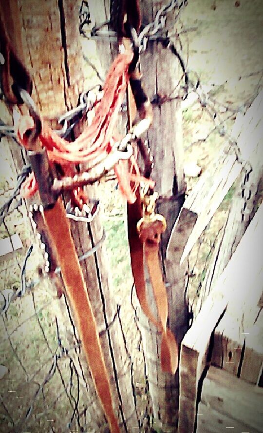 wood - material, old, branch, damaged, close-up, metal, deterioration, outdoors, day, weathered, rusty, abandoned, obsolete, wall - building feature, no people, fence, bare tree, sunlight, focus on foreground, bad condition